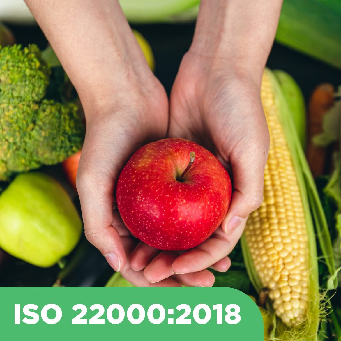 konsultasi iso 22000