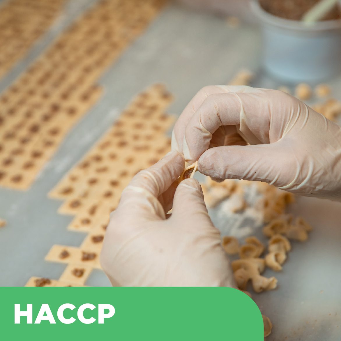 konsultasi haccp